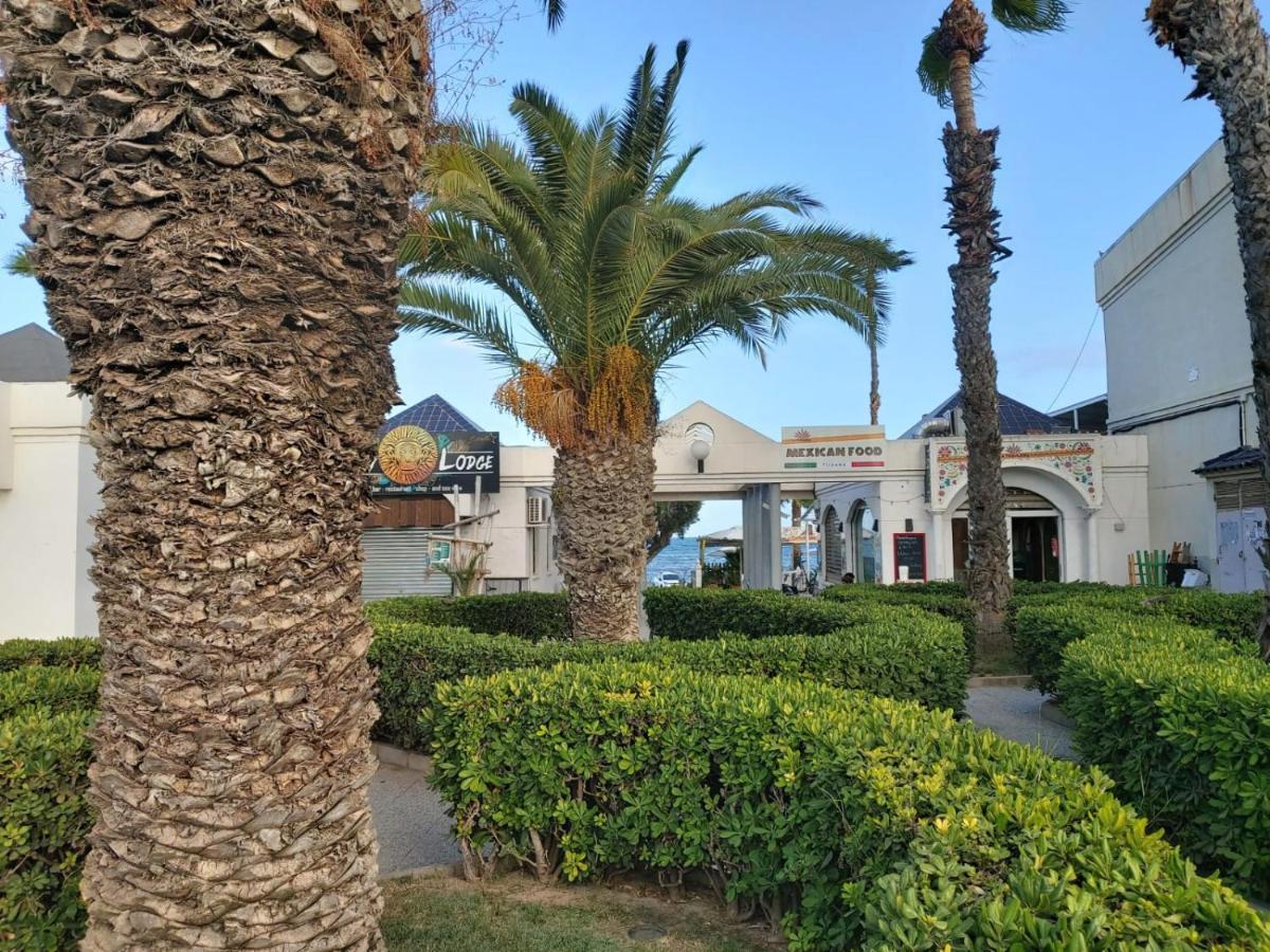 Villa Amalia 5 Torrevieja Exteriér fotografie